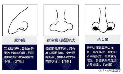 不露鼻孔 面相|面相讲堂｜12种不同吉凶之鼻相，图文